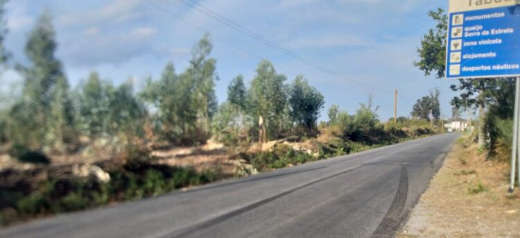 Midões: Colisão frontal provoca um morto, um ferido grave e três ligeiros