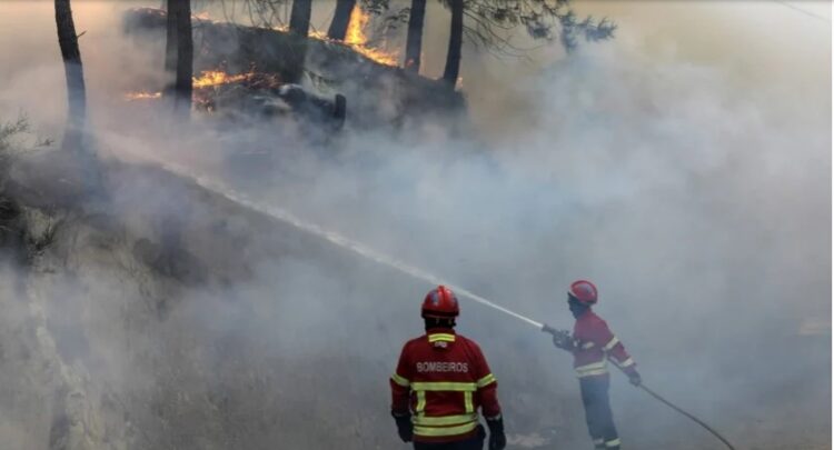 Proteção Civil espera “tarde de muito trabalho” no combate ao incêndio de Proença-a-Nova