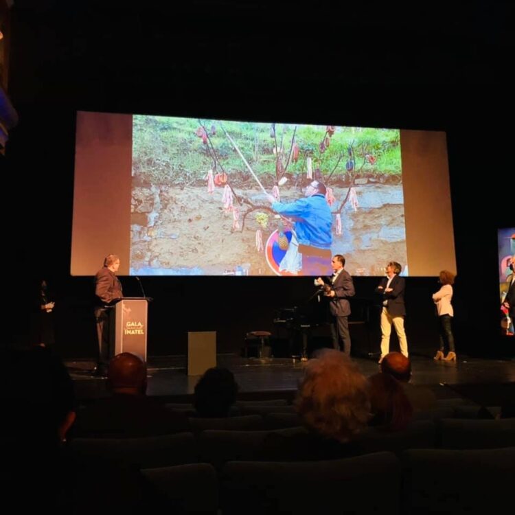 Carvalha foi eleita “Aldeia dos Sonhos 2020”