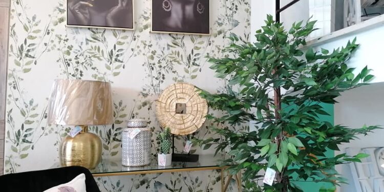 Jovem empreendedor abre loja “Flamingos Decor” na  cidade de Oliveira do Hospital