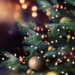 União de Freguesias de Coja e Barril de Alva promove “NATAL nas Portas do Açor” União de Freguesias de Coja e Barril de Alva promove “NATAL nas Portas do Açor”