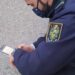 Coimbra: Comida para animais de rua armadilhada com alfinetes e pioneses Coimbra: Comida para animais de rua armadilhada com alfinetes e pioneses