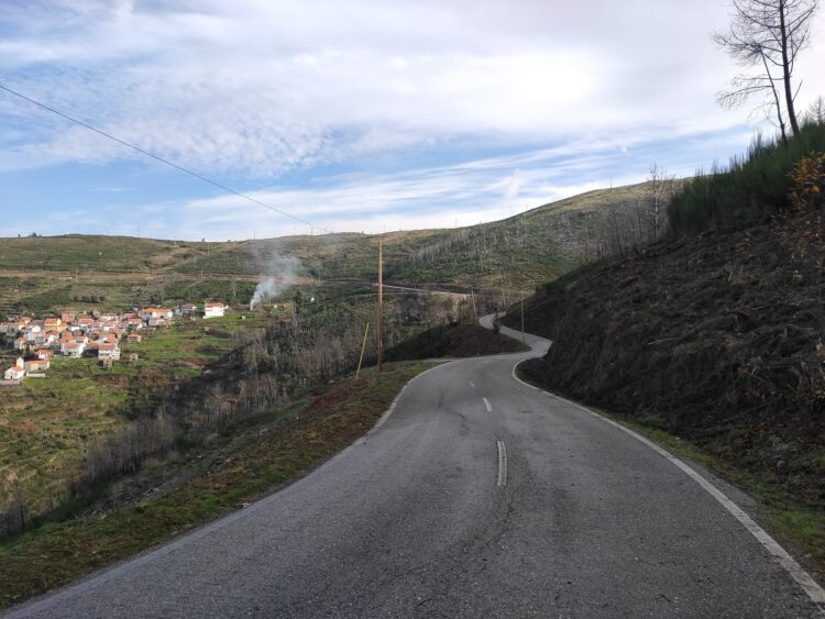 Arganil desenvolveu ações de gestão e defesa da floresta contra incêndios em 2020
