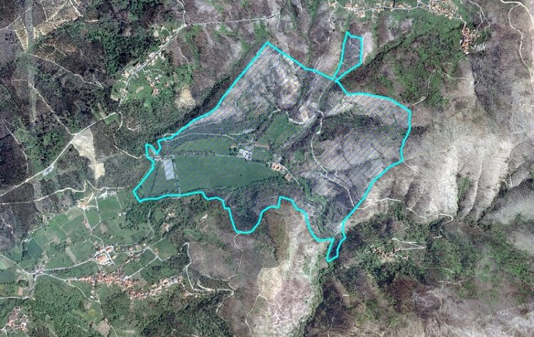 Arganil avança com implementação de Sistema de Cadastro Simplificado