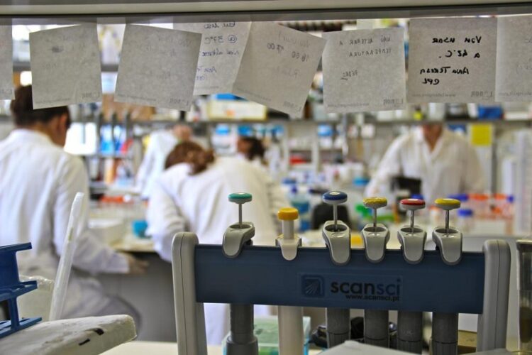 Projeto da Universidade de Coimbra reforça a igualdade de género na investigação