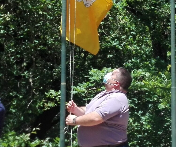 Fundação Albino Mendes da Silva garante que “árvores cortadas estavam sinalizadas” e foram obedecidos “todos os critérios”
