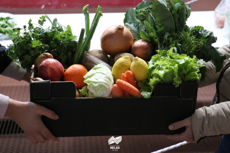 Município de Nelas já entregou 536 cabazes de fruta e produtos hortícolas a famílias mais carenciadas