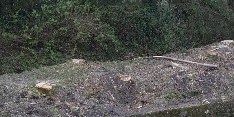 CDS-PP de Oliveira do Hospital denuncia “situação ambiental criminosa” em S. Gião