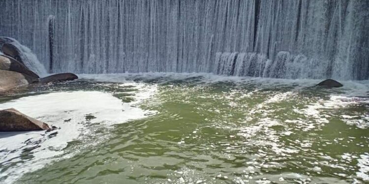 Carlos Maia repudia descargas no Rio Seia na zona de Ervedal da Beira