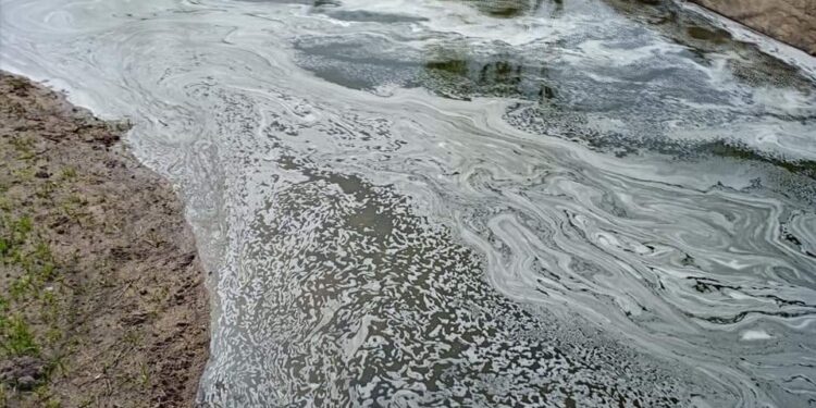 Carlos Maia repudia descargas no Rio Seia na zona de Ervedal da Beira