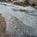 Poluição nos rios Seia e Cobral está a ser investigada pela Guarda do Ambiente da GNR da Lousã Carlos Maia repudia descargas no Rio Seia na zona de Ervedal da Beira