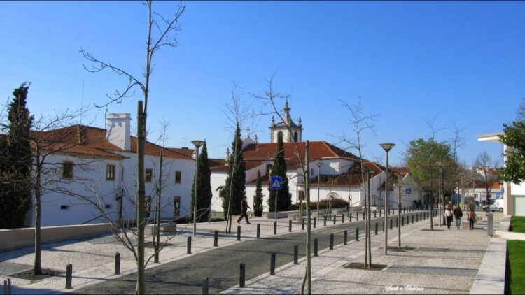 CIM Região de Coimbra apresenta projeto FloraReply em Condeixa-a-Nova