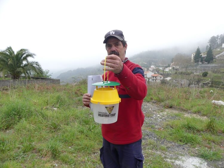 Município de Seia já entregou 580 armadilhas a apicultores