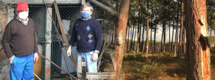 “Histórias de Vida… Vidas com Histórias” partilha a arte e ofício de ser resineiro