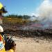 CIM de Coimbra integra projeto transfronteiriço de prevenção de incêndios rurais