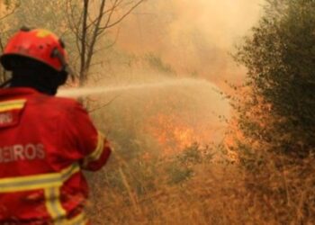 ANEPC apresenta amanhã o Dispositivo Especial de Combate a Incêndios Rurais (DECIR 2021)