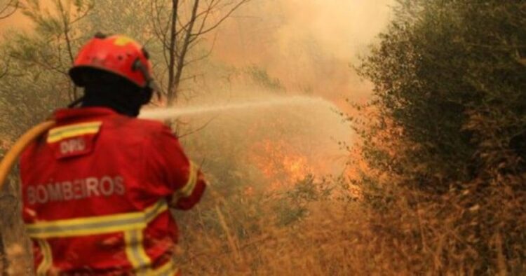 ANEPC apresenta amanhã o Dispositivo Especial de Combate a Incêndios Rurais (DECIR 2021)