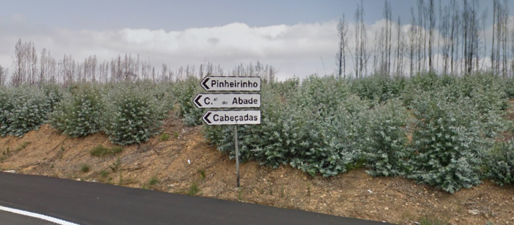 Tentativa de assalto a residência em Lourosa. Autarca alerta população