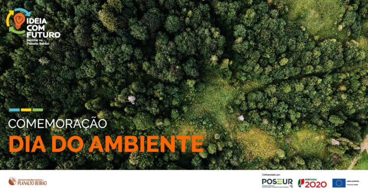 Planalto Beirão comemora Dia do Ambiente com a inauguração do “maior mural de arte urbana”