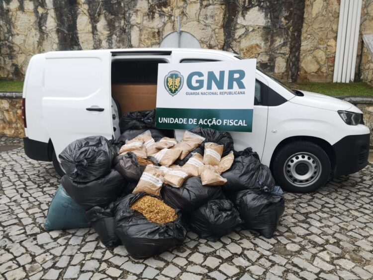 Cantanhede: GNR apreende 389 quilos de tabaco no valor de 150 mil euros