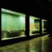 Projeto CCB – Cidade Digital chega ao Museu Monográfico de Conimbriga