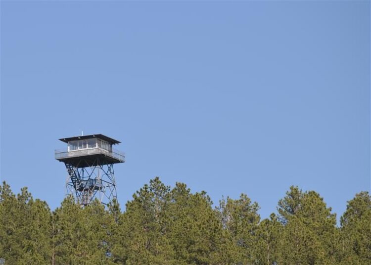 Rede Nacional de Postos de Vigia é hoje reforçada. Fase crítica dos incêndios começa a 1 de julho
