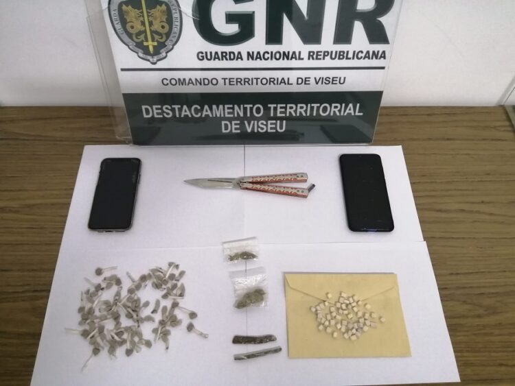 Nelas: GNR detém homem por cultivo de estupefacientes