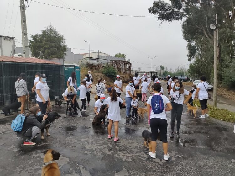 “Cãominhada” pretendeu “sensibilizar para a causa animal” em Oliveira do Hospital
