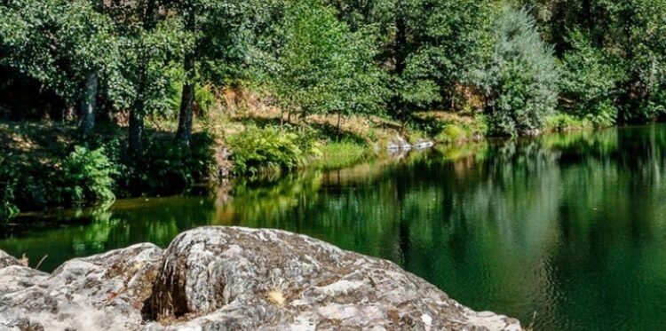 CIM e Município de Arganil assinam auto de consignação de Reabilitação Fluvial do Rio Ceira