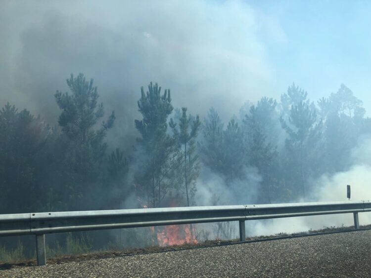 Incêndio leva ao corte da A1 entre Pombal e Soure