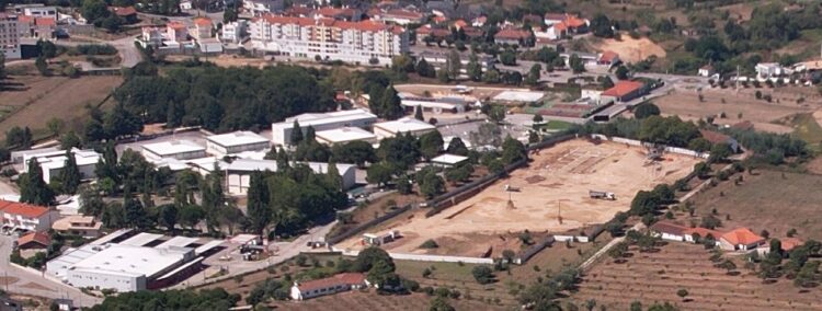 CDU contra o abate de 135 castanheiros para construção de “Campus Educativo”