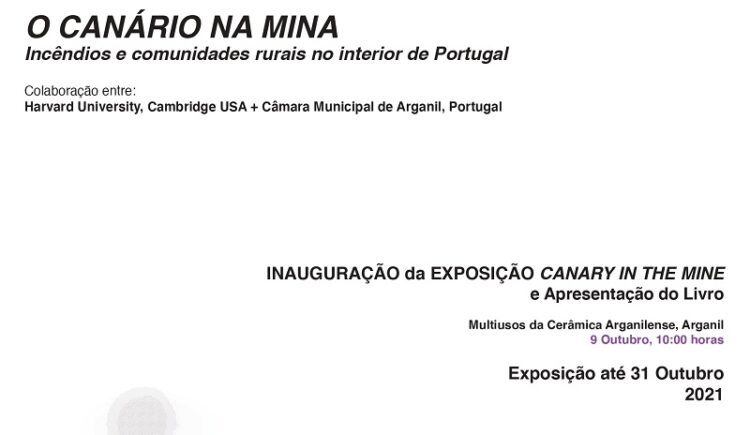 Trabalho de parceria entre o Município de Arganil e Universidade de Harvard apresentado na Cerâmica Arganilense
