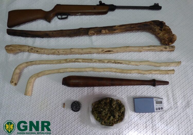 Oliveira do Hospital: GNR apreende armas e estupefacientes no âmbito de violência doméstica