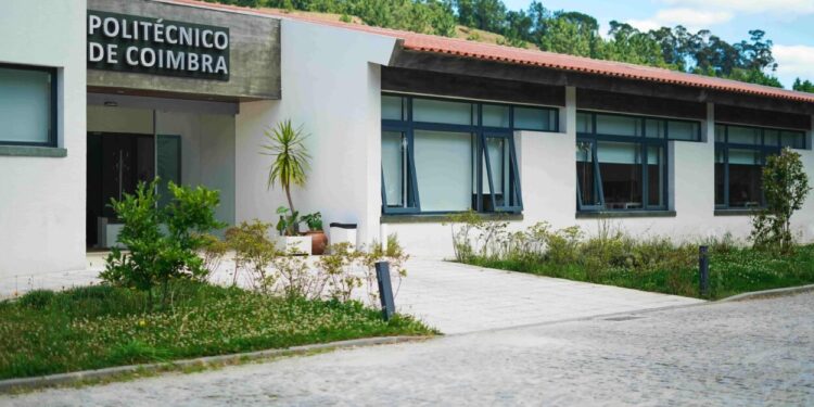 IPC promove programa de mentoria para ajudar estudantes recém-chegados provenientes dos PALOP