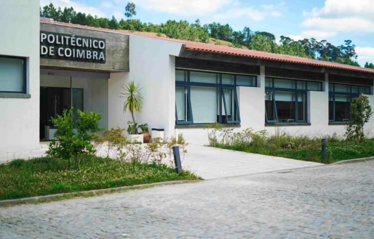 IPC promove programa de mentoria para ajudar estudantes recém-chegados provenientes dos PALOP