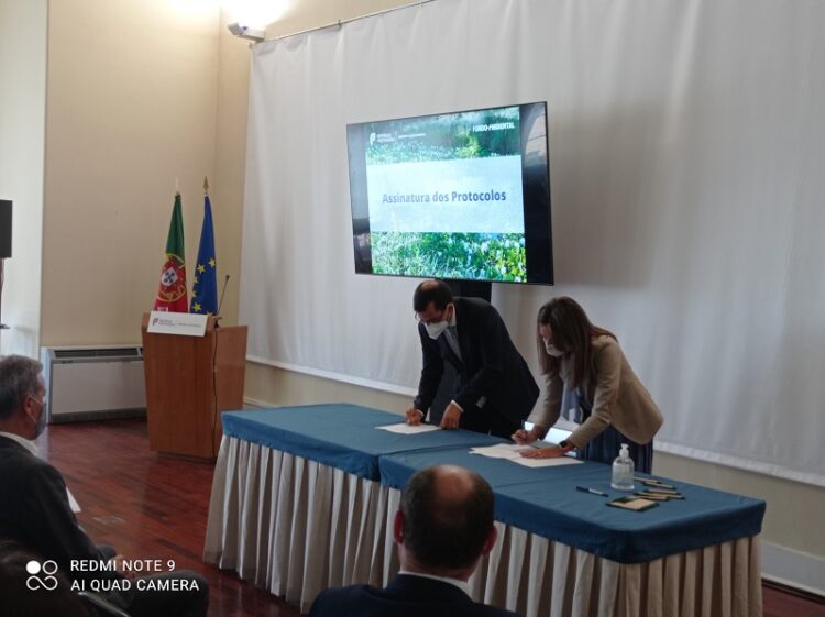CIM Coimbra e Fundo Ambiental celebram protocolo para o controlo de espécies exóticas invasoras