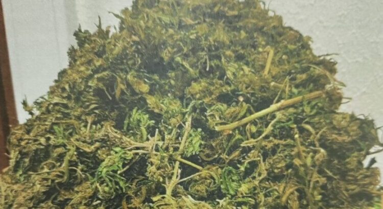 Guarda: Homem detido em flagrante por tráfico de estupefacientes