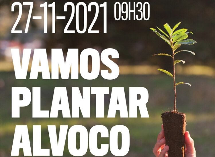 Movimento Estrela Viva promove plantação de 1000 árvores em Alvoco da Serra