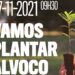 Movimento Estrela Viva promove plantação de 1000 árvores em Alvoco da Serra