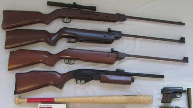 Figueira da Foz: Homem detido por posse de armas e munições