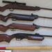 Figueira da Foz: Homem detido por posse de armas e munições