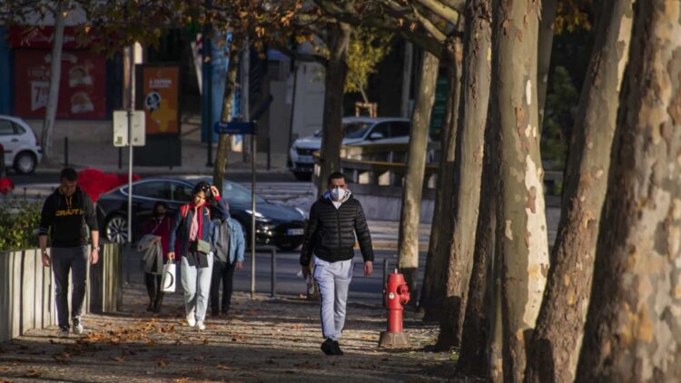 Portugal regista 19 mortes e 17.172 infetados nas últimas 24 horas