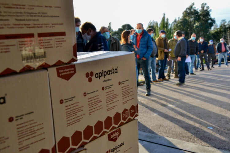 Município de Penacova distribui 10 toneladas de alimento para abelhas