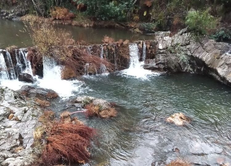 Arganil: Recuperados açudes de Poço da Cesta e Vale Pardieiro