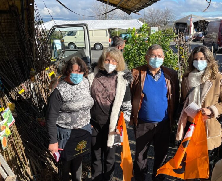 Candidatos a deputados pelo PSD de visita a Coimbra e Oliveira do Hospital