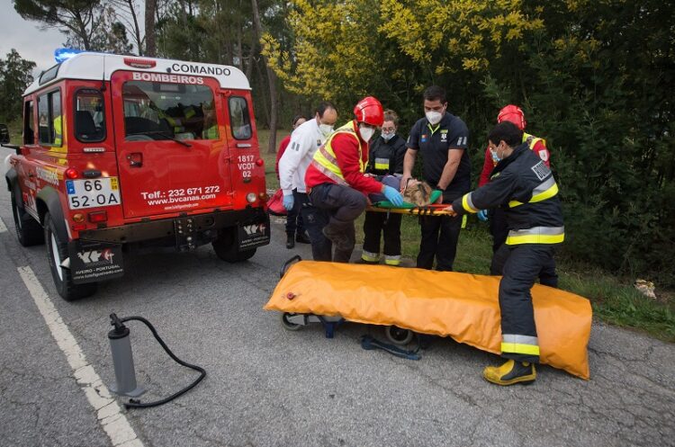 Homem responsável por explosões em Canas de Senhorim está detido. Caso investigado pela PJ Homem responsável por explosões em Canas de Senhorim está detido. Caso investigado pela PJ