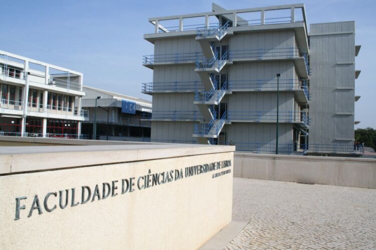 Suspeito de terrorismo na Faculdade de Ciências da Universidade de Lisboa ouvido hoje