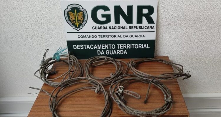 Guarda: Homem detido por caçar com meios proibidos
