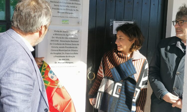 Ministra da Agricultura inaugura Festa do Queijo Serra da Estrela de Oliveira do Hospital
