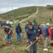 Arganil celebrou Dia da Árvore nas encostas onde cresce a Floresta da Serra do Açor